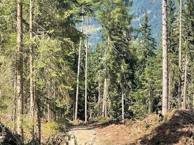 Gewerbeobjekt kaufen in 8861 Sankt Georgen (Bild 2)