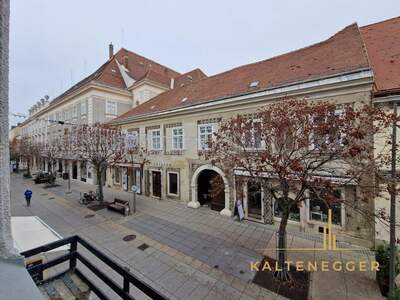 Anlageobjekt kaufen in 2700 Wiener Neustadt (Bild 4)