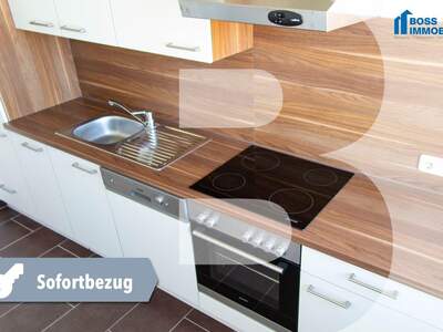 Wohnung mieten in 4053 Haid (Bild 1)