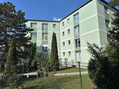 Wohnung kaufen in 2490 Ebenfurth