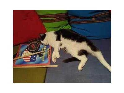 Immobilie provisionsfrei mieten in 1040 Wien