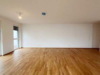 Terrassenwohnung kaufen in 2700 Wr. Neustadt (Bild 5)