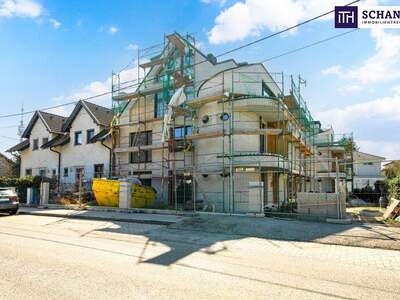 Terrassenwohnung kaufen in 1210 Wien (Bild 4)