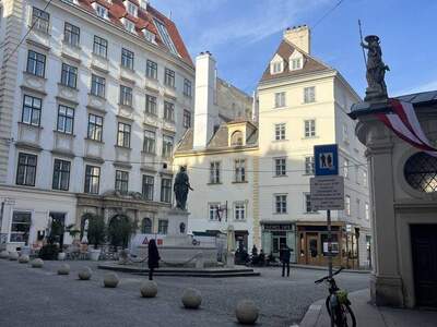 Wohnung mieten in 1010 Wien