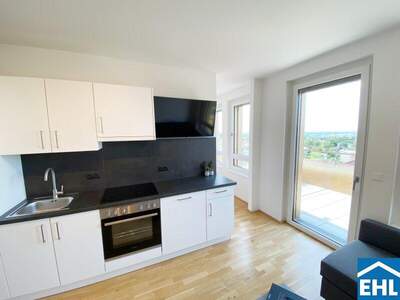 Terrassenwohnung mieten in 1100 Wien (Bild 3)