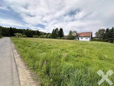 Grundstück kaufen in 8490 Bad Radkersburg