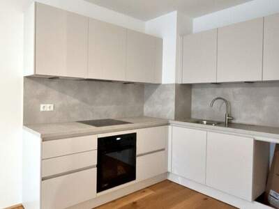 Terrassenwohnung mieten in 2700 Wr. Neustadt (Bild 4)