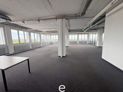 Gewerbeobjekt mieten in 4614 Marchtrenk (Bild 5)