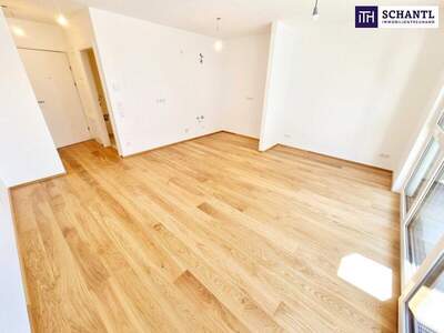 Terrassenwohnung mieten in 1230 Wien (Bild 3)