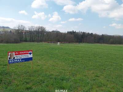 Grundstück kaufen in 4942 Wippenham (Bild 3)