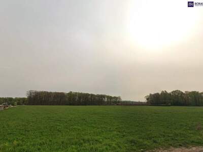 Grundstück kaufen in 8430 Leibnitz