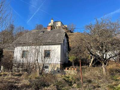 Haus kaufen in 9341 Straßburg (Bild 3)
