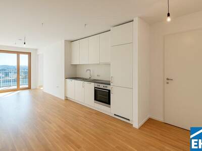 Terrassenwohnung mieten in 1100 Wien (Bild 1)