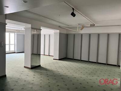 Gewerbeobjekt mieten in 2700 Wiener Neustadt (Bild 4)