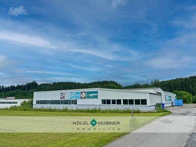Produktion mieten in 5202 Neumarkt
