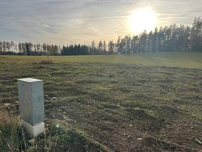 Grundstück provisionsfrei mieten in 3820 Raabs
