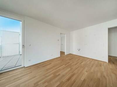 Terrassenwohnung kaufen in 1210 Wien (Bild 3)