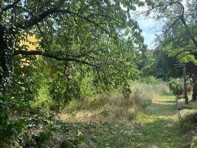 Grundstück kaufen in 7100 Neusiedl