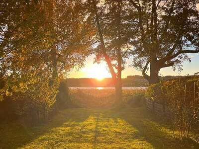 Haus kaufen in 5163 Mattsee