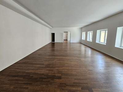 Gewerbeobjekt mieten in 1160 Wien (Bild 1)