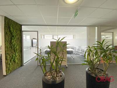 Gewerbeobjekt mieten in 4040 Linz (Bild 5)