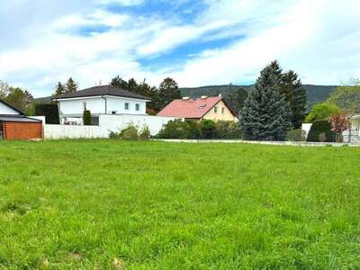 Grundstück kaufen in 2721 Brunn