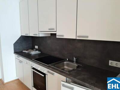 Terrassenwohnung mieten in 1060 Wien (Bild 4)