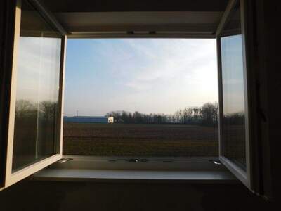 Reihenhaus kaufen in 4351 Saxen (Bild 4)