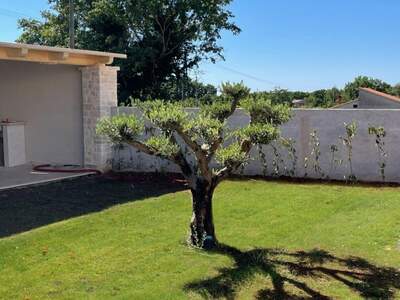 Haus kaufen in 52352 Marici (Bild 5)