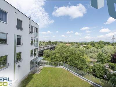 Gewerbeobjekt mieten in 4030 Linz (Bild 2)