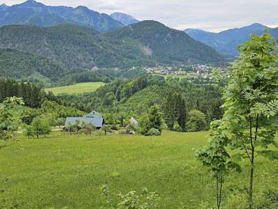 Gewerbeobjekt kaufen in 8933 Sankt Gallen
