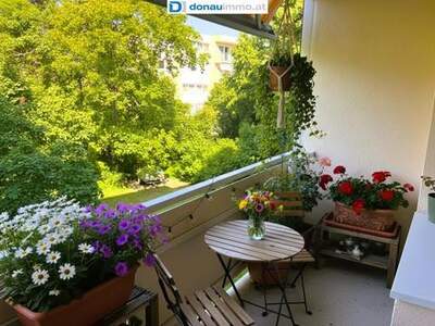 Wohnung kaufen in 2362 Biedermannsdorf