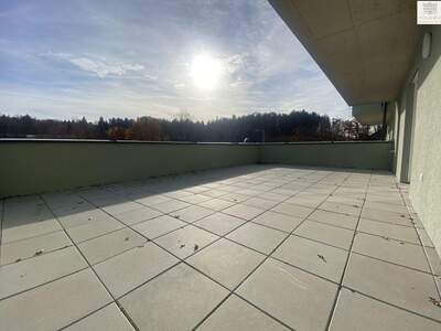 Apartment kaufen in 8044 Steiermark