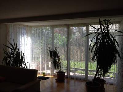 Mehrfamilienhaus kaufen in 5020 Salzburg (Bild 2)