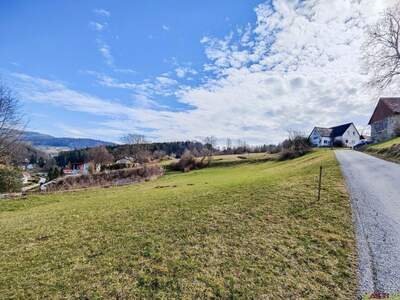 Grundstück kaufen in 8101 Gratkorn (Bild 4)