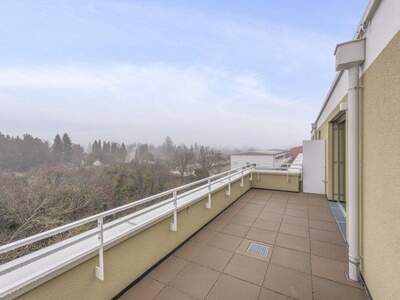 Terrassenwohnung kaufen in 2540 Bad Vöslau (Bild 3)