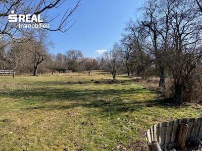 Haus kaufen in 7431 Bad Tatzmannsdorf (Bild 4)