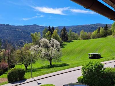 Einfamilienhaus kaufen in 8850 Murau (Bild 1)