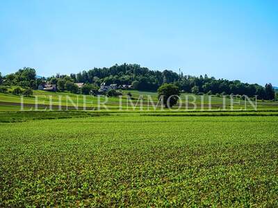 Einfamilienhaus kaufen in 8143 Dobl (Bild 4)