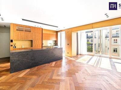 Terrassenwohnung kaufen in 1010 Wien (Bild 1)