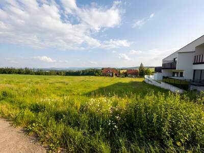 Grundstück kaufen in 4073 Wilhering