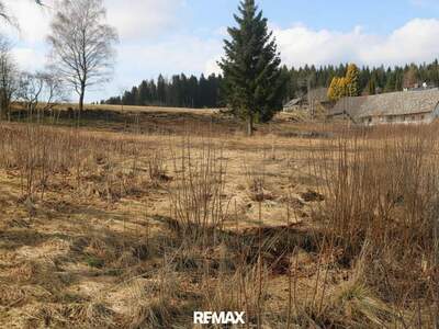 Grundstück kaufen in 4184 Helfenberg