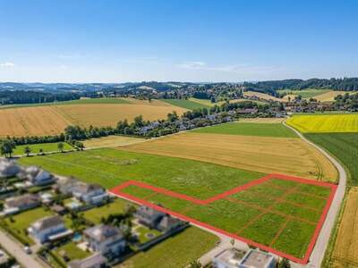 Grundstück kaufen in 4611 Buchkirchen