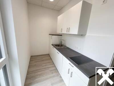 Gewerbeobjekt mieten in 4081 Hartkirchen (Bild 3)