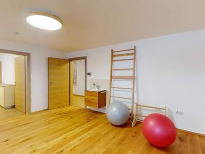 Gewerbeobjekt mieten in 4652 Steinerkirchen