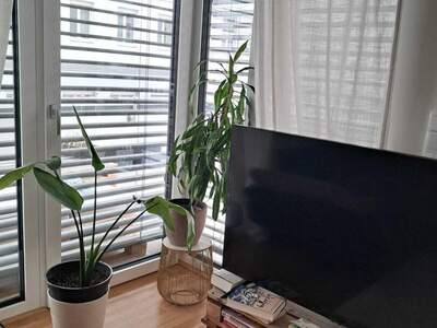 Wohnung mit Balkon mieten in 8020 Graz (Bild 3)