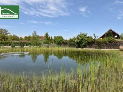 Terrassenwohnung kaufen in 3500 Krems (Bild 3)