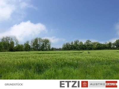 Grundstück kaufen in 4775 Taufkirchen