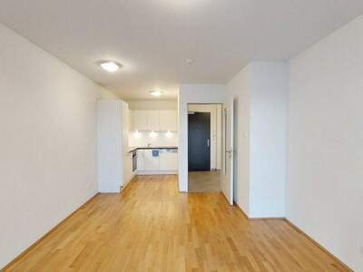 Terrassenwohnung mieten in 1020 Wien (Bild 3)