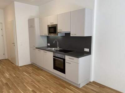 Terrassenwohnung mieten in 1220 Wien (Bild 4)